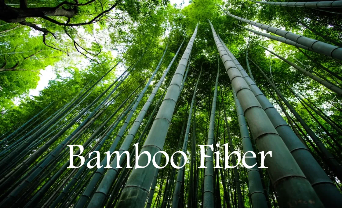 premium clothing manufacturer bamboo fabric